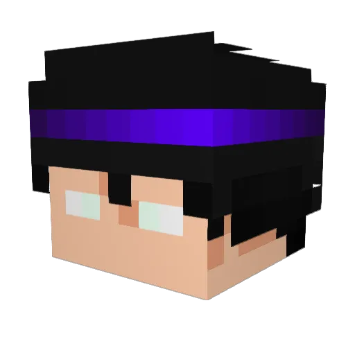 NoHackJustFlare Minecraft avatar head, 3D render