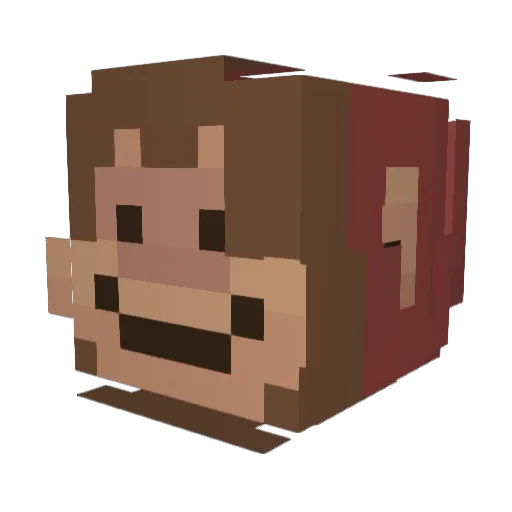 NoHackJustNico19 Minecraft avatar head, 3D render