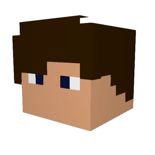 NoHacksImPingero Minecraft avatar head, 3D render