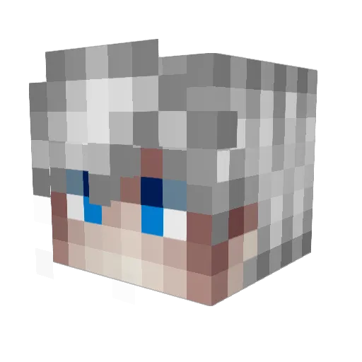 NoHacksJustDiker Minecraft avatar head, 3D render