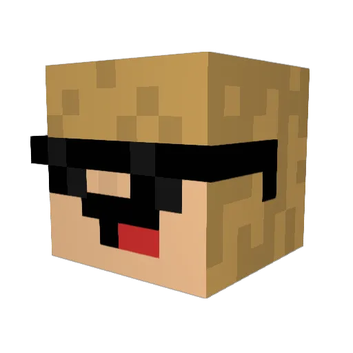 NoHackzJustFartz Minecraft avatar head, 3D render