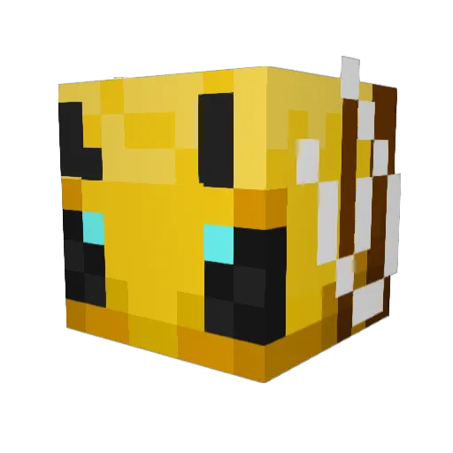 NoHandsSally Minecraft avatar head, 3D render