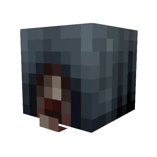 NoHaxJustExploit Minecraft avatar head, 3D render