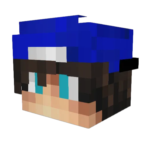 NoHaxJustKappa Minecraft avatar head, 3D render