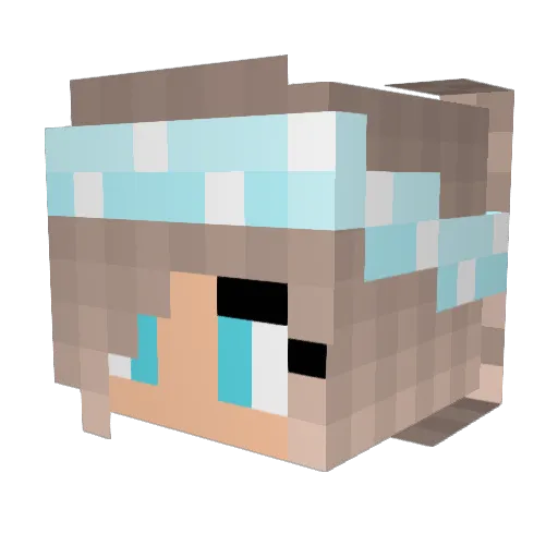 NoHaxJustMeSelff Minecraft avatar head, 3D render