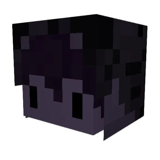 NoHaxJustStamis Minecraft avatar head, 3D render