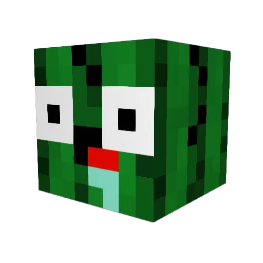 NoHaxJustYouFat Minecraft avatar head, 3D render