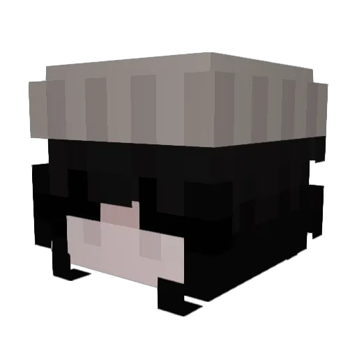 NoHax_Just_Me Minecraft avatar head, 3D render