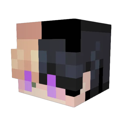 NoHo05 Minecraft avatar head, 3D render