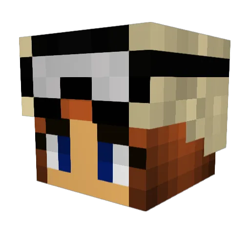 NoIdea27 Minecraft avatar head, 3D render