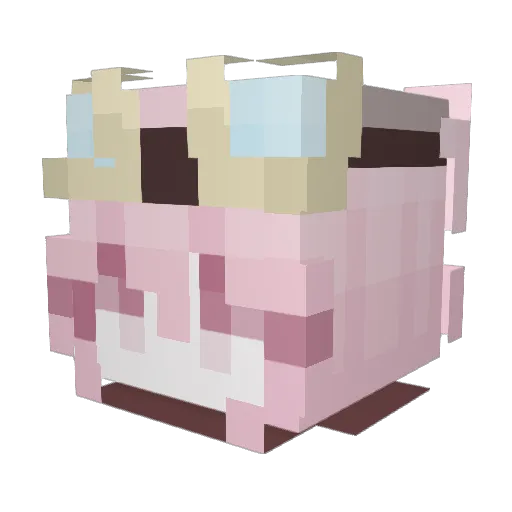 NoImpulseSpeak Minecraft avatar head, 3D render