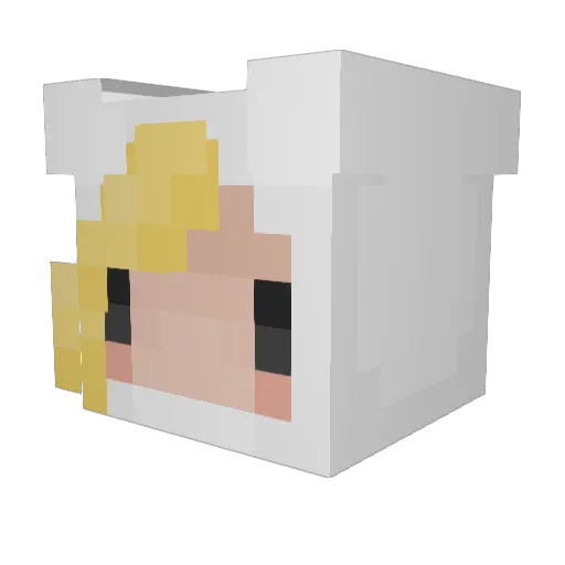 NoJob891012 Minecraft avatar head, 3D render