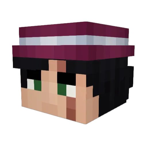 NoLableHandsken Minecraft avatar head, 3D render