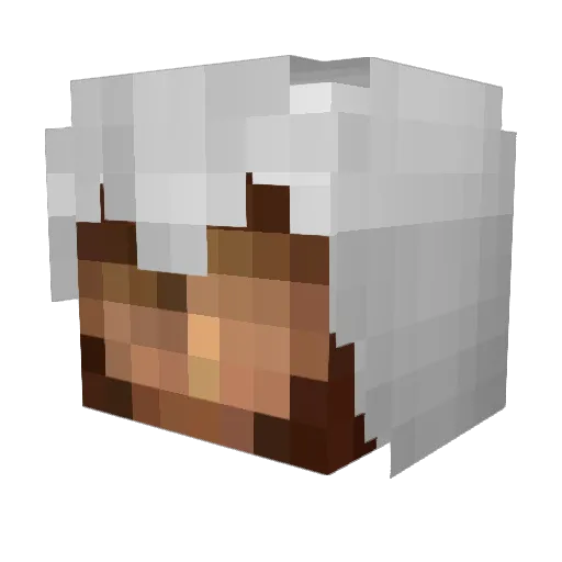 NoLeafClover17 Minecraft avatar head, 3D render