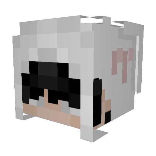 NoLifeWanted Minecraft avatar head, 3D render