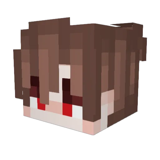 NoLife_King Minecraft avatar head, 3D render