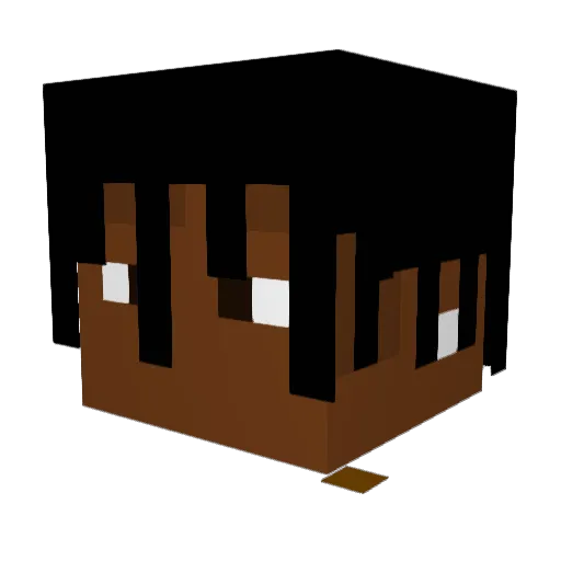 NoLimitTwiz150 Minecraft avatar head, 3D render