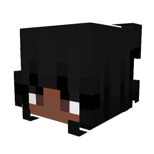NoLookes Minecraft avatar head, 3D render