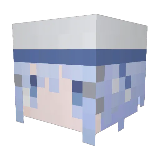 NoMeansNo_ Minecraft avatar head, 3D render