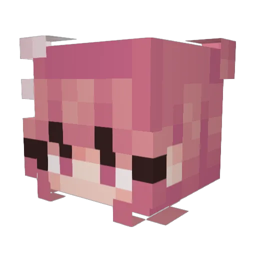 NoMercy529 Minecraft avatar head, 3D render