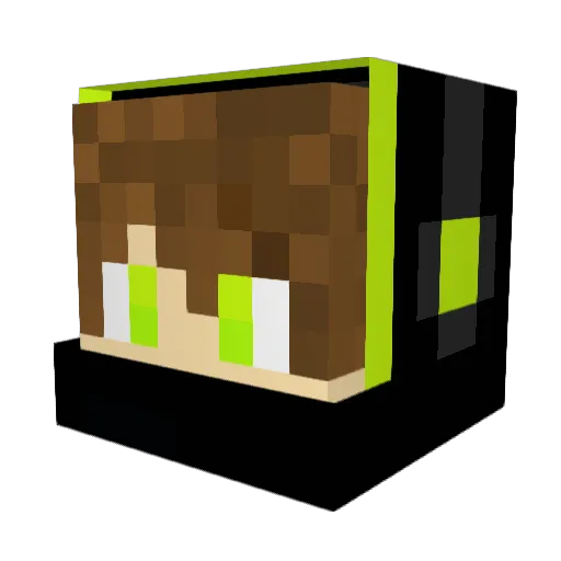 NoMercyPunch0852 Minecraft avatar head, 3D render