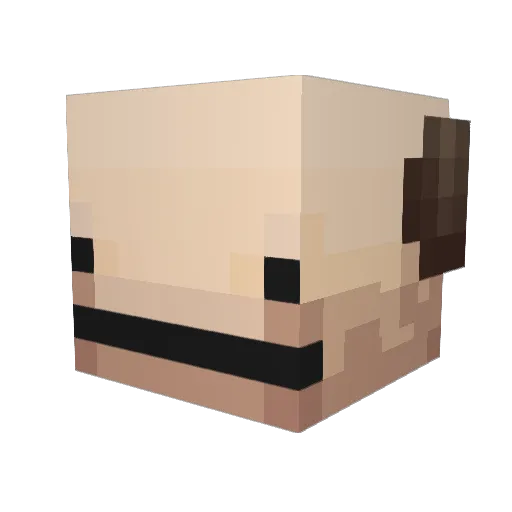 NoMessingAround Minecraft avatar head, 3D render