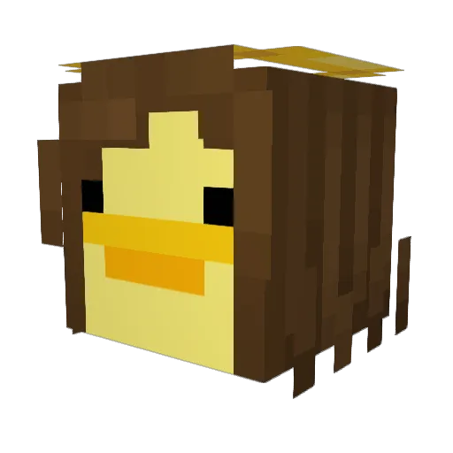 NoMoreZombies77 Minecraft avatar head, 3D render