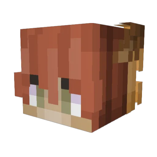 NoMoreZvyn Minecraft avatar head, 3D render