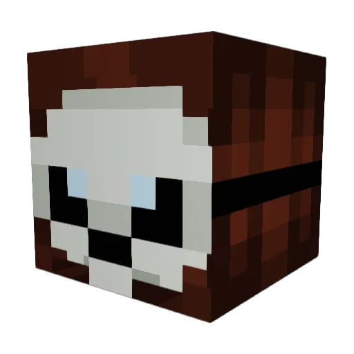 NoN2m3 Minecraft avatar head, 3D render
