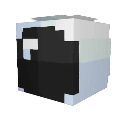 NoN_existent24 Minecraft avatar head, 3D render