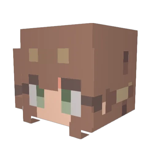 NoName1606 Minecraft avatar head, 3D render