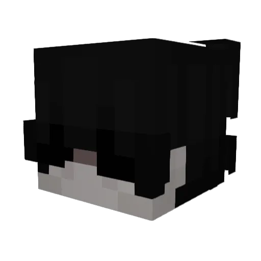 NoName476 Minecraft avatar head, 3D render