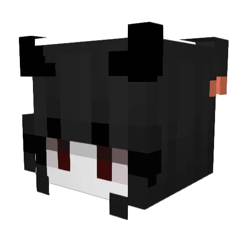 NoName6432 Minecraft avatar head, 3D render