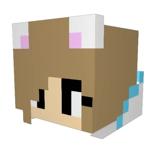 NoNameG15 Minecraft avatar head, 3D render