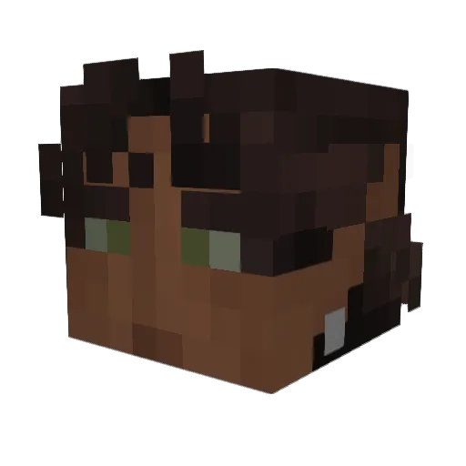 NoNameIsBack Minecraft avatar head, 3D render