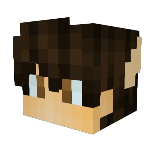 NoNameNemo Minecraft avatar head, 3D render