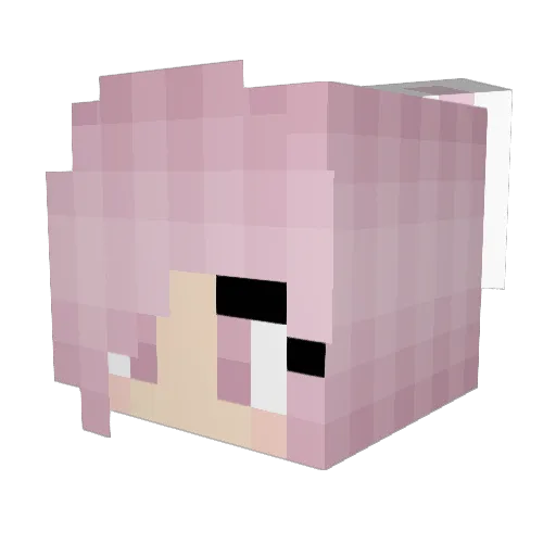 NoNameOtaku Minecraft avatar head, 3D render