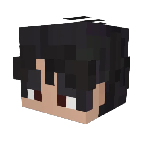 NoNickName04 Minecraft avatar head, 3D render