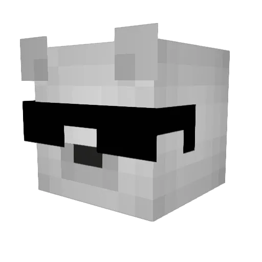 NoOneAsked1213 Minecraft avatar head, 3D render