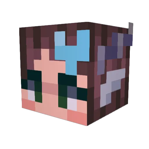 NoOneExceptEvie Minecraft avatar head, 3D render