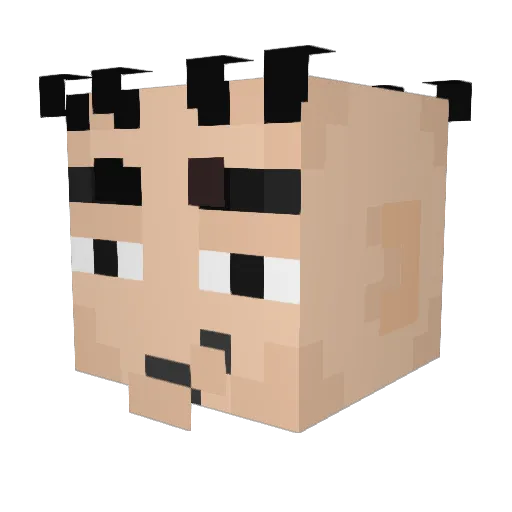 NoPasaNada Minecraft avatar head, 3D render