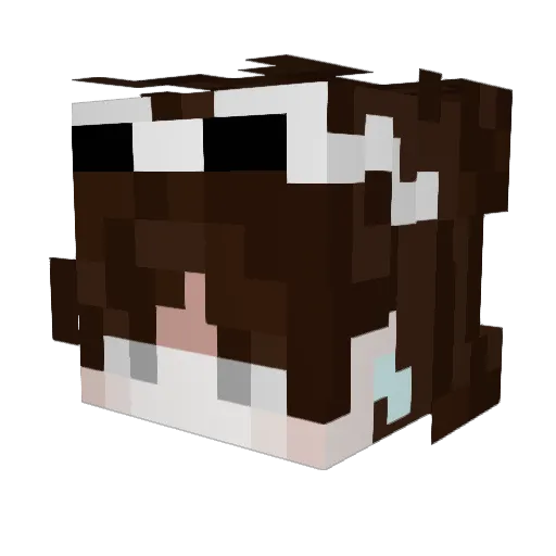 NoPeaceful Minecraft avatar head, 3D render