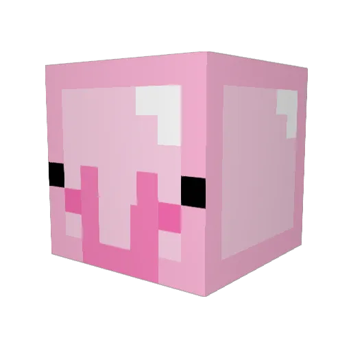 NoPeeNuts Minecraft avatar head, 3D render