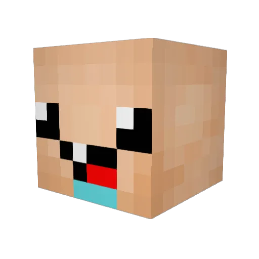 NoPingJustHaxx Minecraft avatar head, 3D render