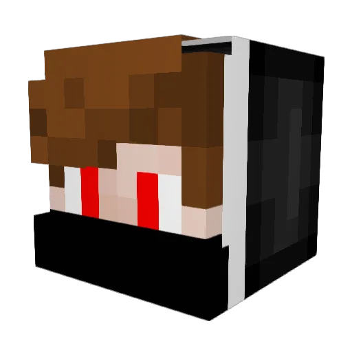 NoPlayerz Minecraft avatar head, 3D render