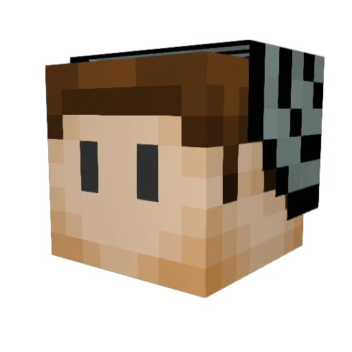 NoPrX Minecraft avatar head, 3D render