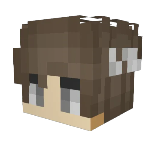 NoProGamer69 Minecraft avatar head, 3D render