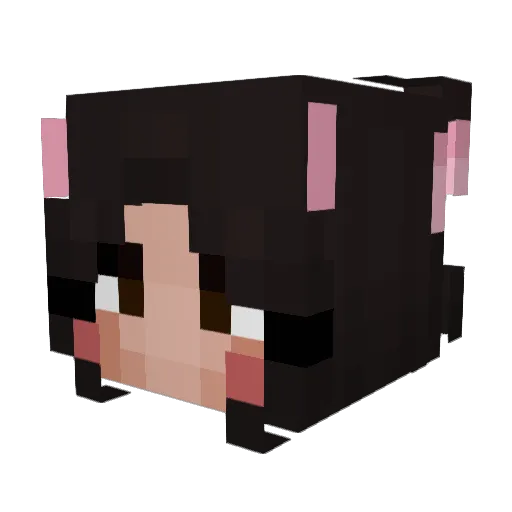 NoReaction_ Minecraft avatar head, 3D render