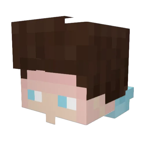 NoReax_Hero_1386 Minecraft avatar head, 3D render