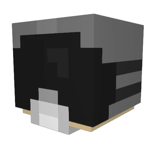 NoScope360 Minecraft avatar head, 3D render